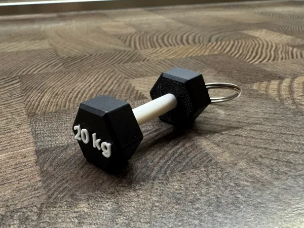 https://makerworld.bblmw.com/makerworld/model/USd9870a6741594f/design/2025-09-04_d2e4773e1ec458.jpeg