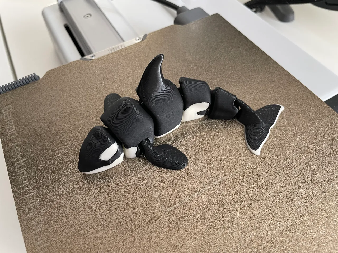 Articulated Orca (singlecolor and multicolor) view 2