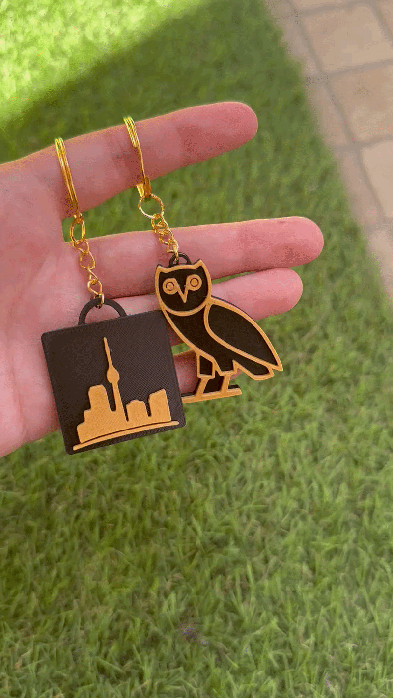 Drake Keychain Pack