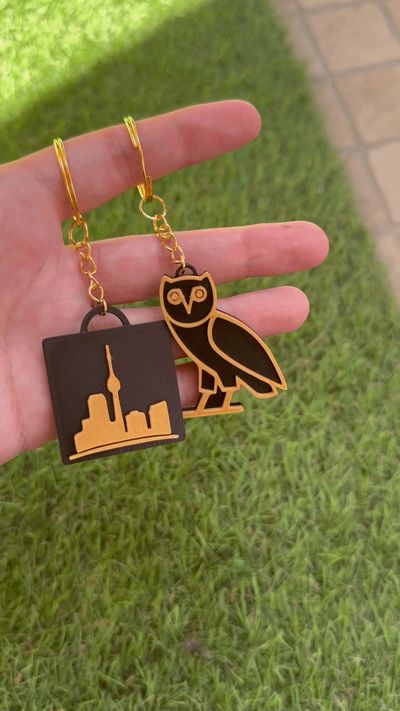 Drake Keychain Pack