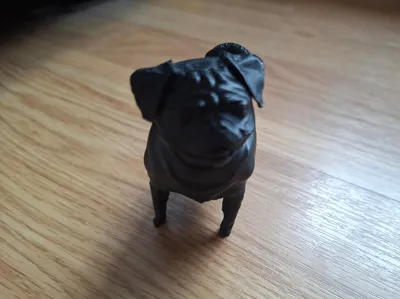 Cute Dog