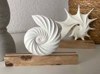 maritimes Inlay für Holzklötzchen Muschel