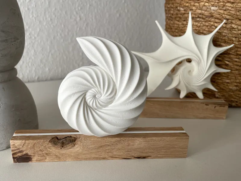 maritimes Inlay für Holzklötzchen Muschel