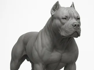 pitbull