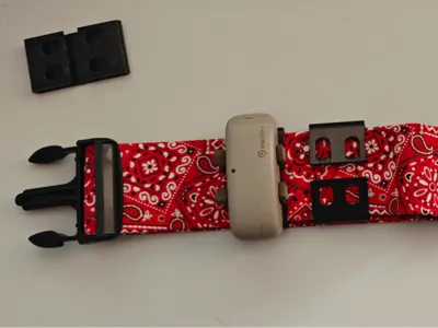 Tractive adapter for wide dog collars