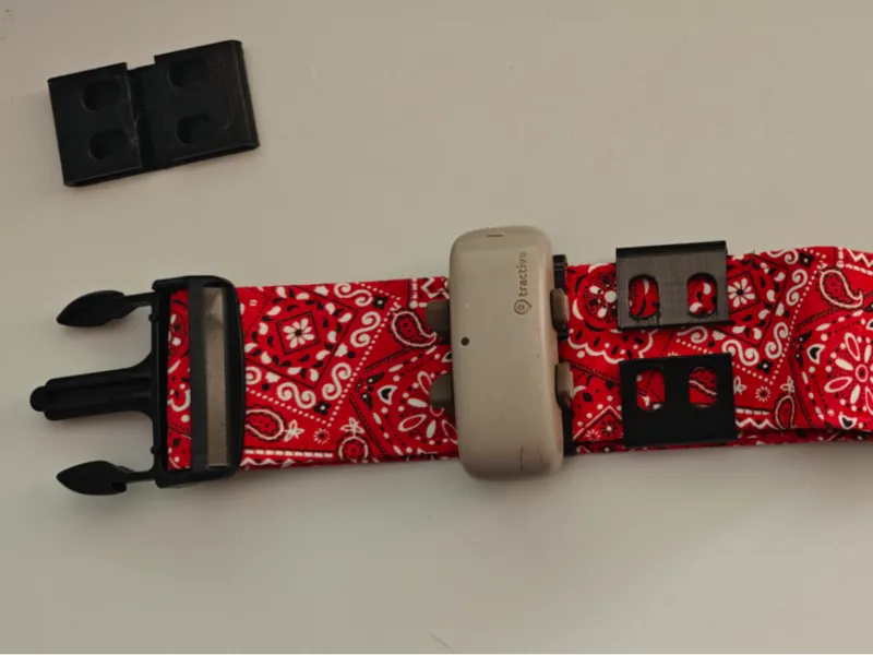 Tractive adapter for wide dog collars