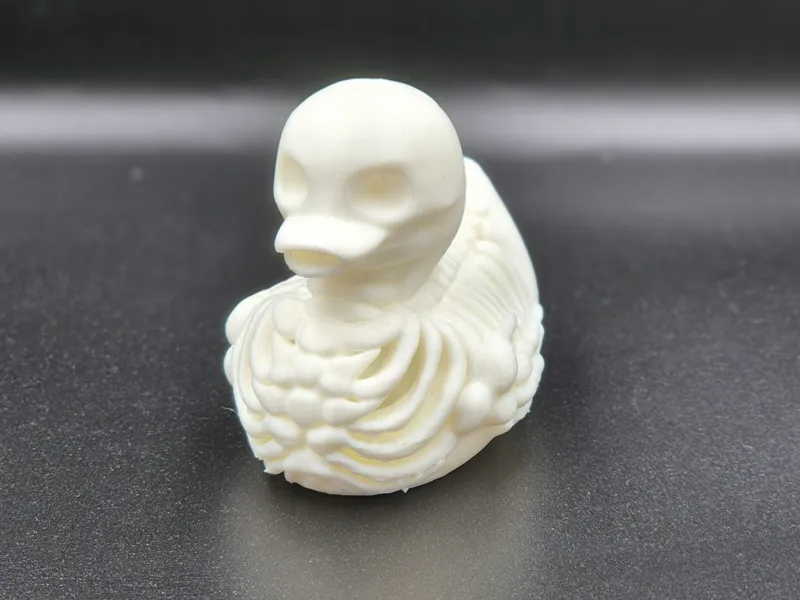 Skeleton Duck