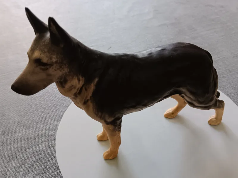 Deutscher Schäferhund