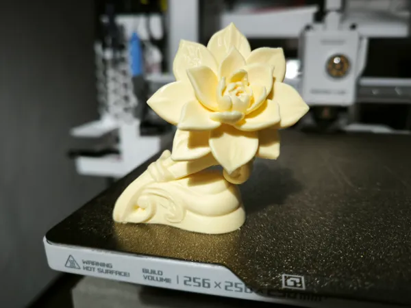 https://makerworld.bblmw.com/makerworld/model/USd9968e527f2ef4/design/2025-03-09_72e4404a5e3c88.jpg