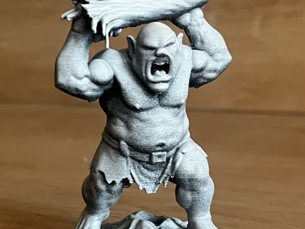 https://makerworld.bblmw.com/makerworld/model/USd996d84f2715b6/design/2025-05-24_9acd869a774f7.jpeg