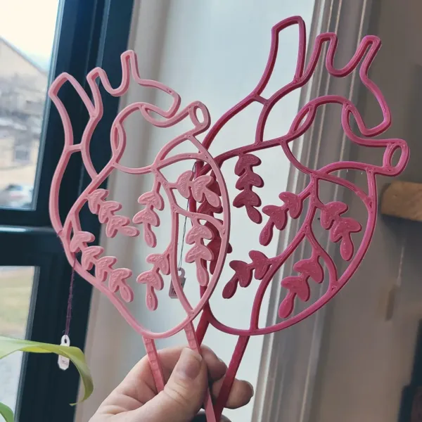 https://makerworld.bblmw.com/makerworld/model/USd9abef1659a89e/design/2023-09-27_49493ab8b5587.webp