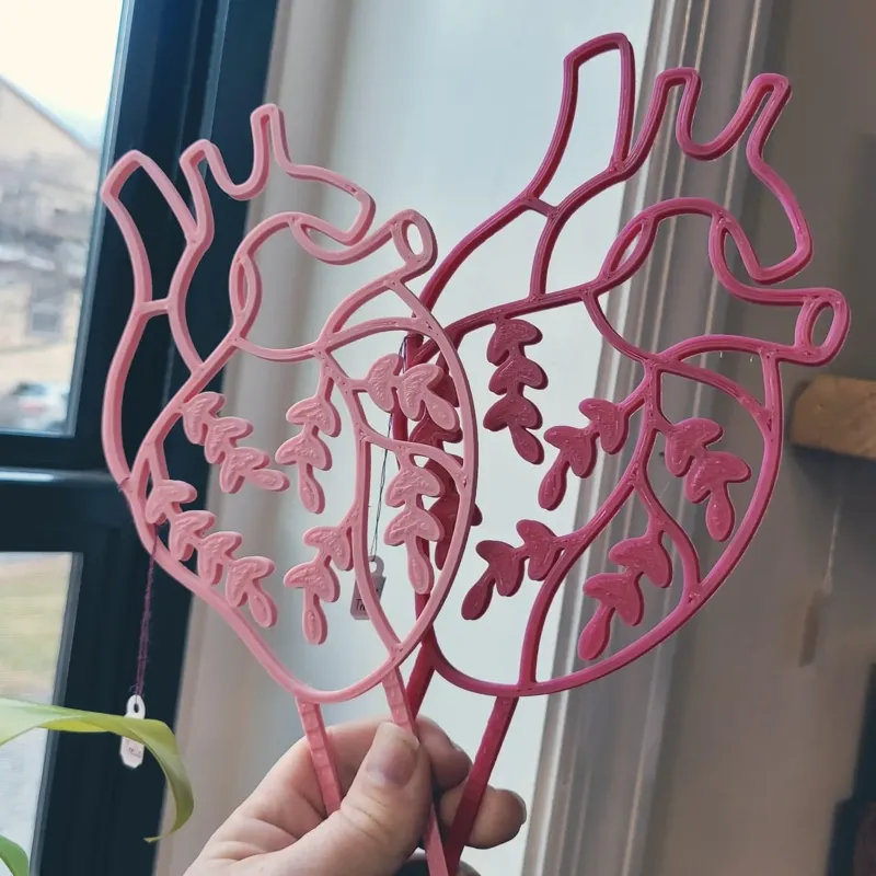 Anatomical Heart Trellis