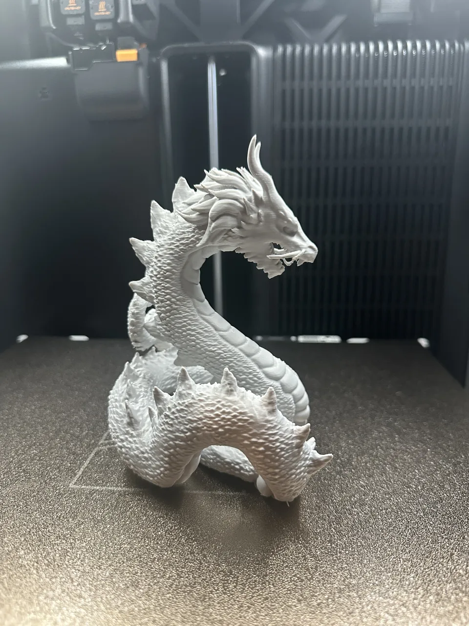Serpent Dragon! view 4