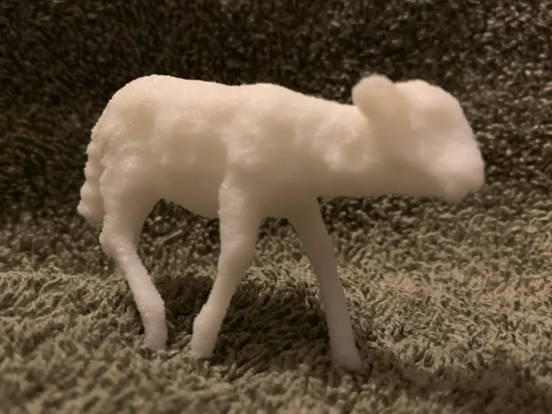 Cute Little Lamb