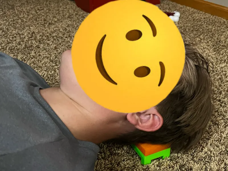 Portable Head Rest