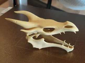 Skyrim Dragon Skull with Battle Scars