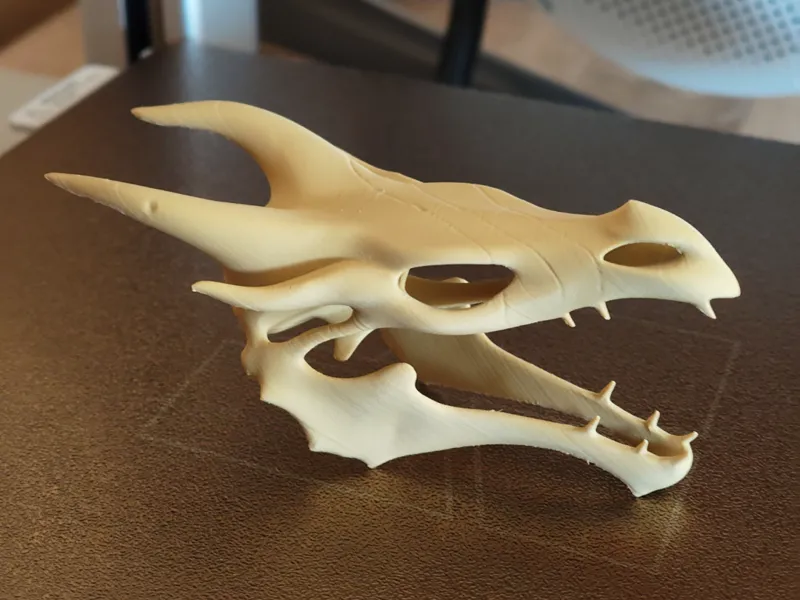 Skyrim Dragon Skull with Battle Scars