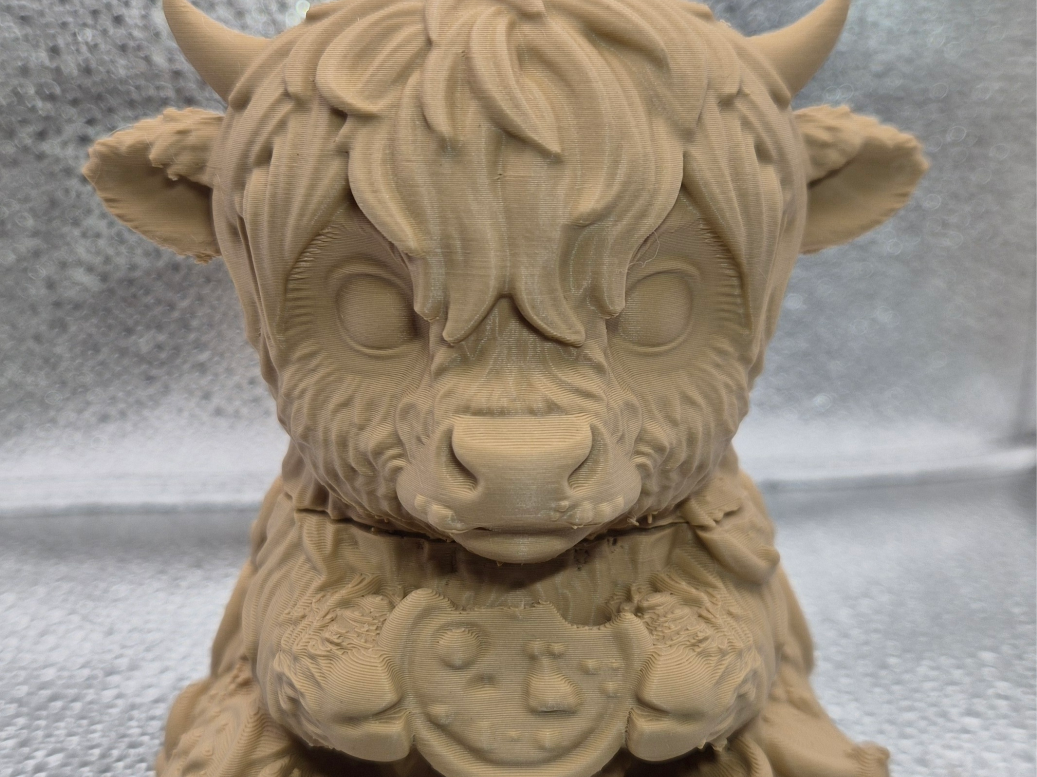 Cookie the HighlandcowBox