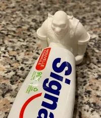 Shrek et son bouchon de dentifrice — photo 5