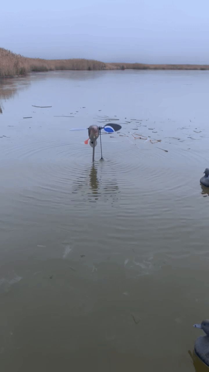 Duck Animator