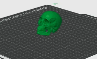 Skull