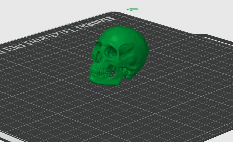 Skull