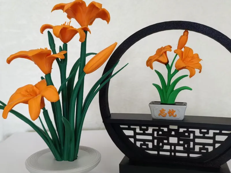 中国母亲花——萱草花，忘忧草