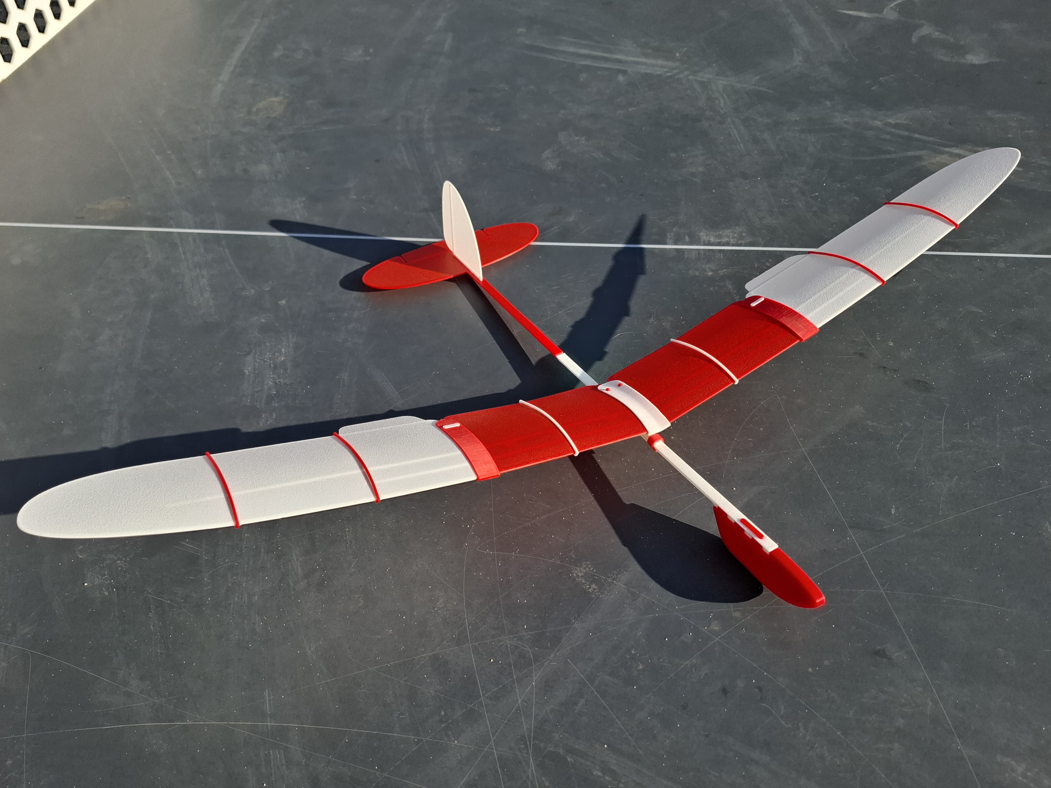 Free-flight glider / RC model 