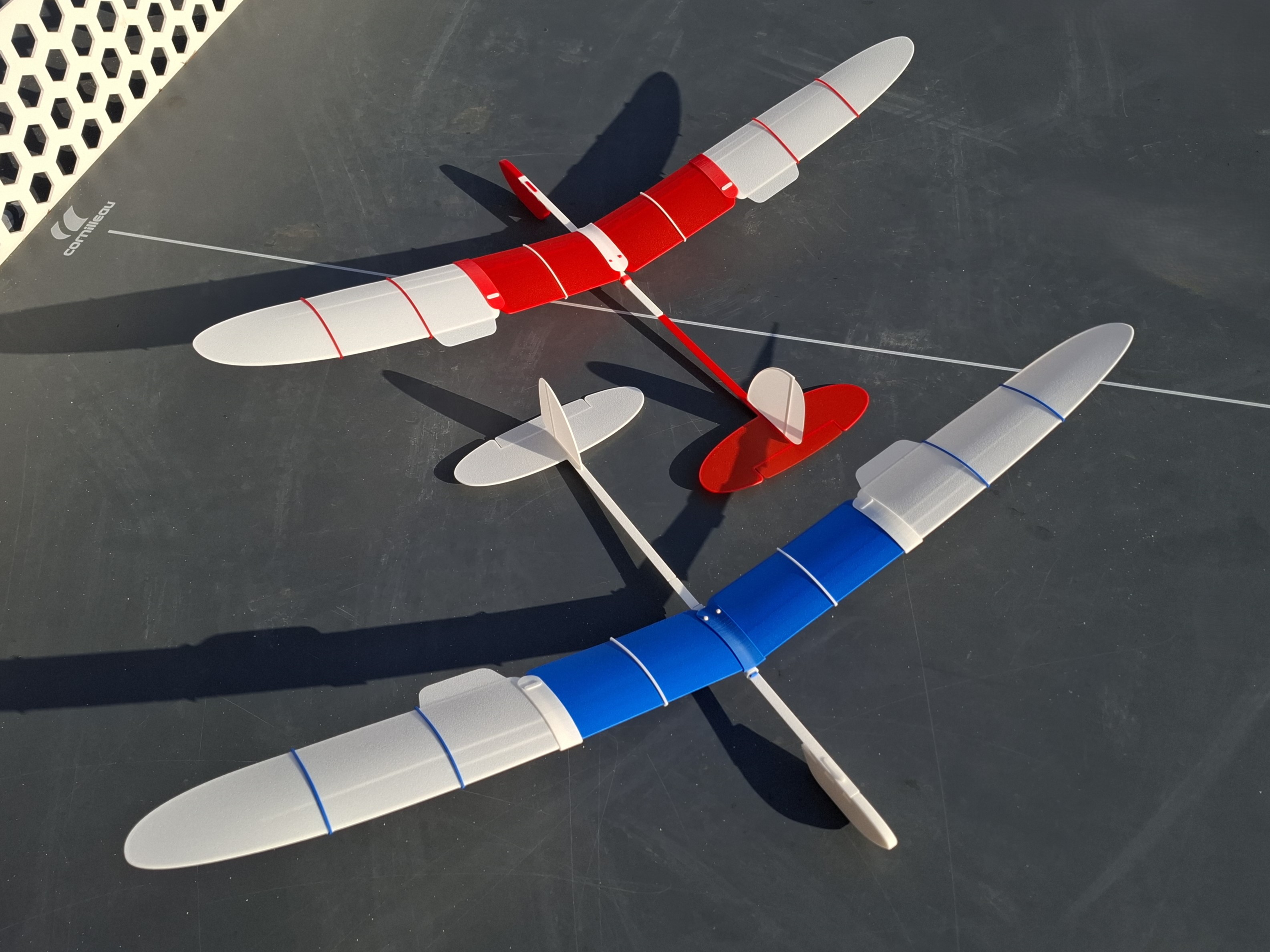 Free-flight glider / RC model 