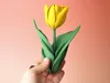 Tulip Multicolor (AMS needed)