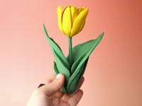 Tulip Multicolor (AMS needed)