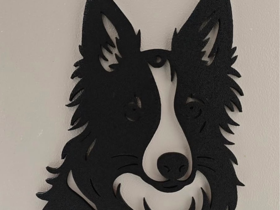 Border Collie