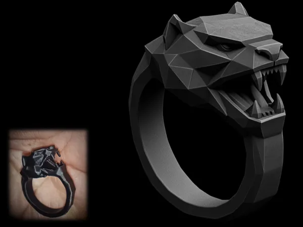https://makerworld.bblmw.com/makerworld/model/USd9cacbd4884fc0/design/2025-01-21_410300ecfb4ca.png