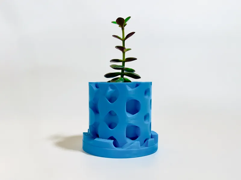A Very Strange Planter Pot