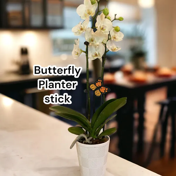 https://makerworld.bblmw.com/makerworld/model/USd9cc561947d6d2/design/2024-04-03_ab5cea86d7b43.jpg