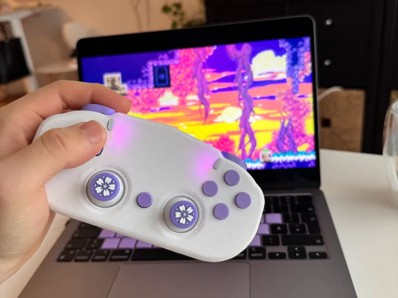 PS5 Controller Mod