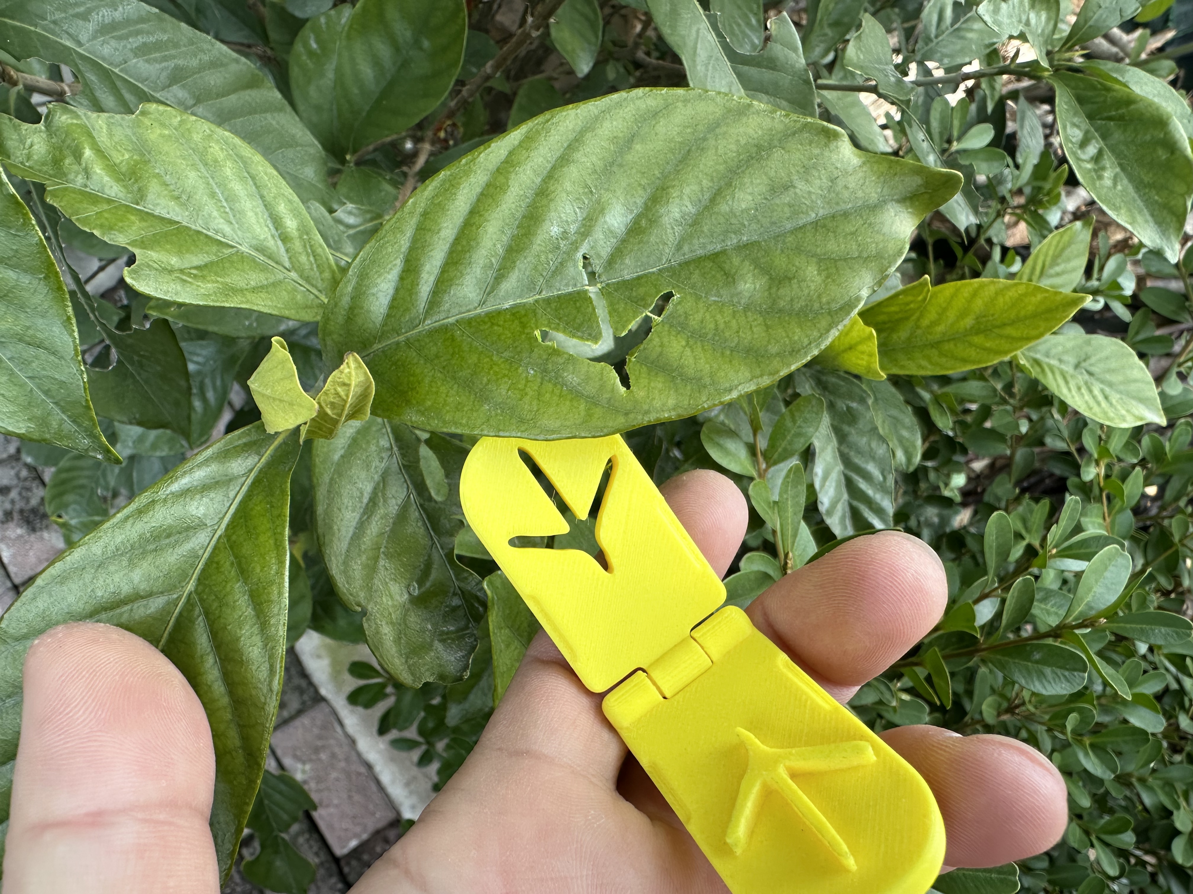 Miniatura 3 do modelo 3D 树叶印章 动物爪印