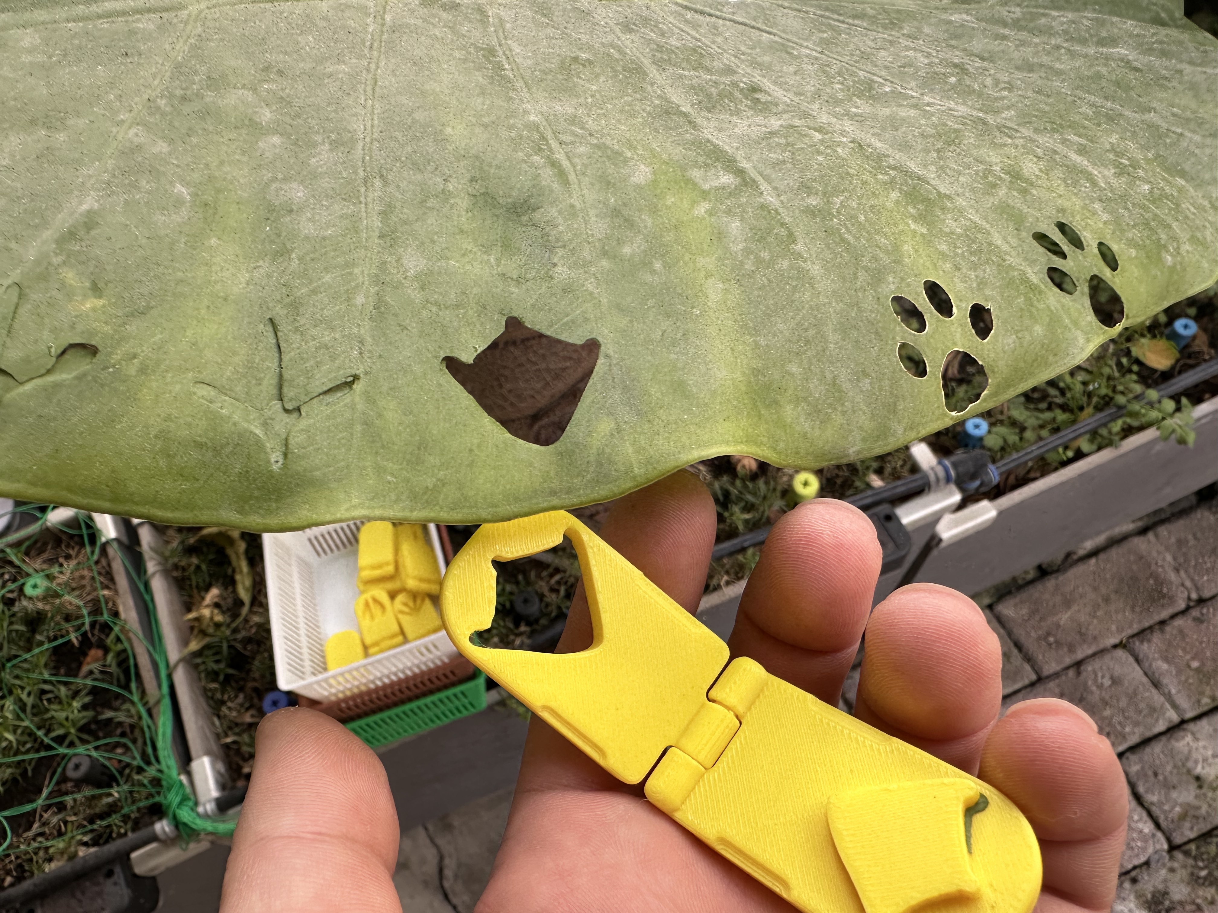 Miniatura 4 do modelo 3D 树叶印章 动物爪印
