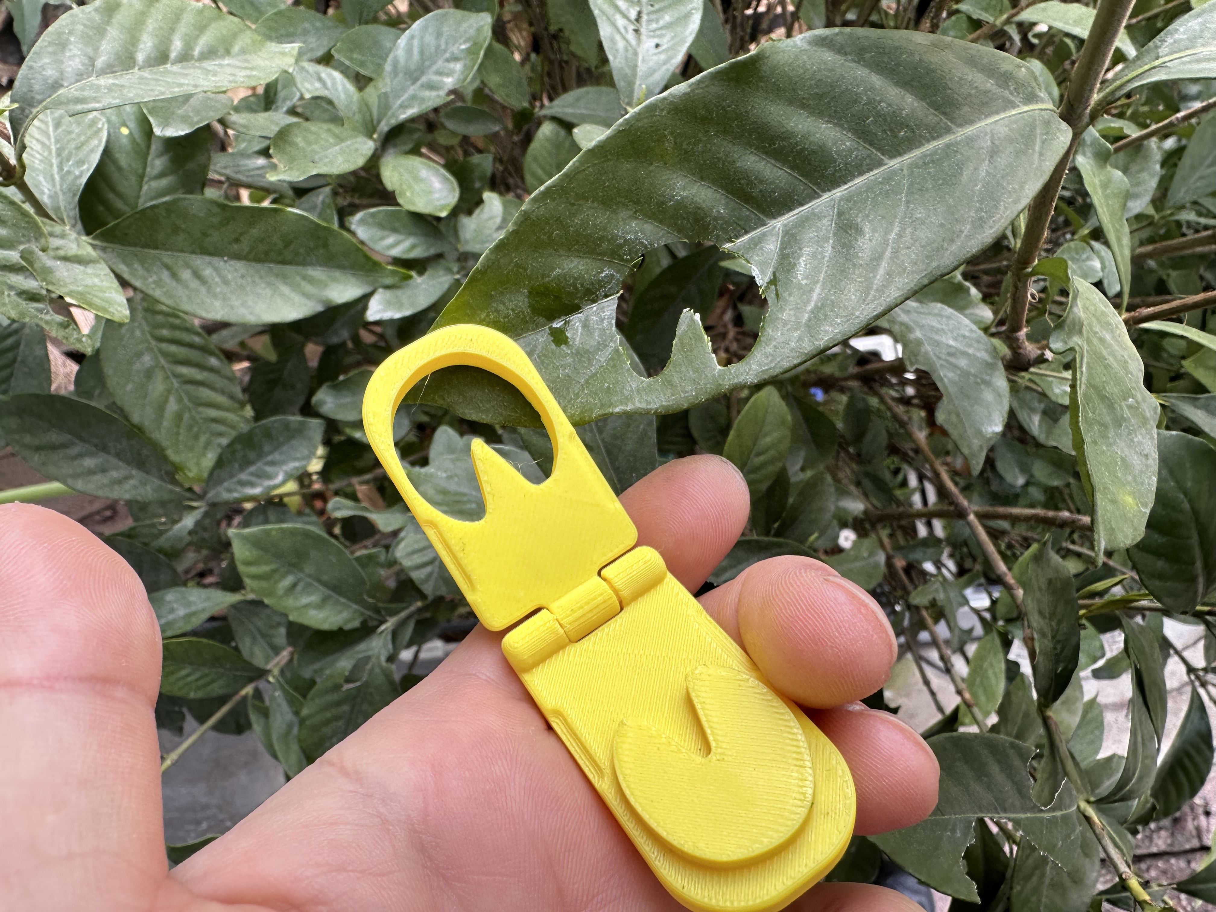 Miniatura 6 do modelo 3D 树叶印章 动物爪印