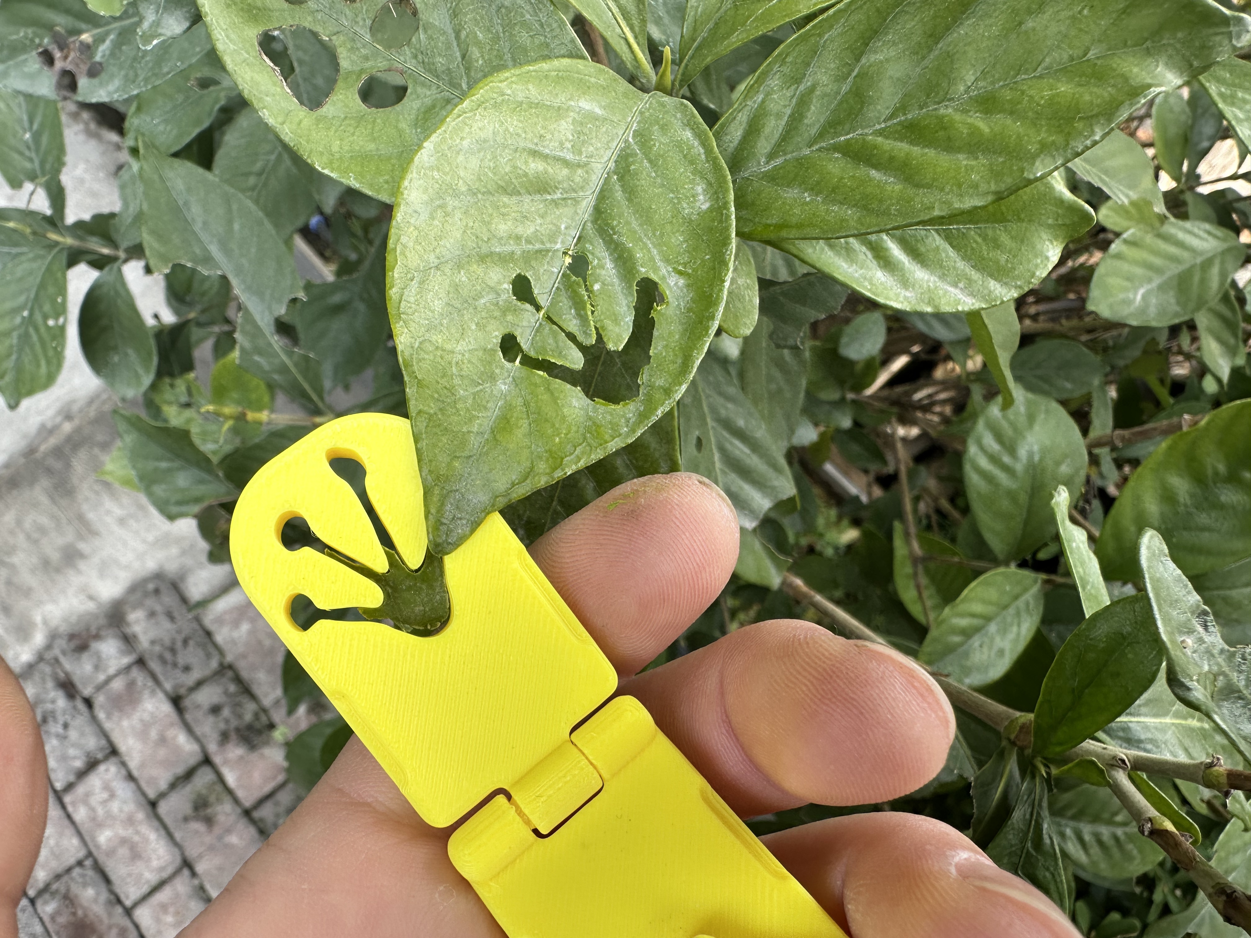 Miniatura 9 do modelo 3D 树叶印章 动物爪印