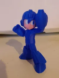 Mega Man — photo 5