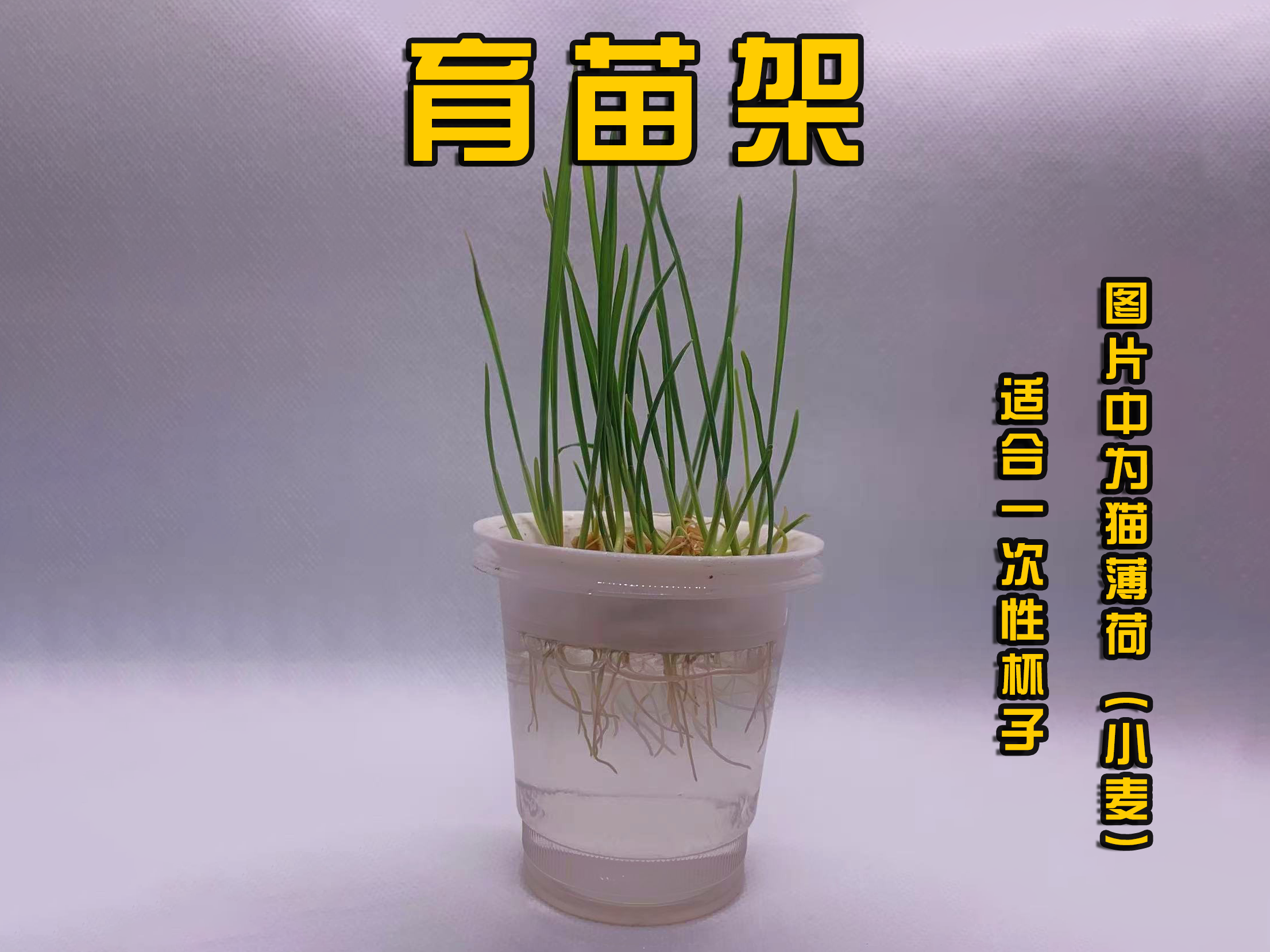 Miniatura 1 do modelo 3D 一次性杯子育苗架