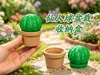AMS一盘打印（p1x1）