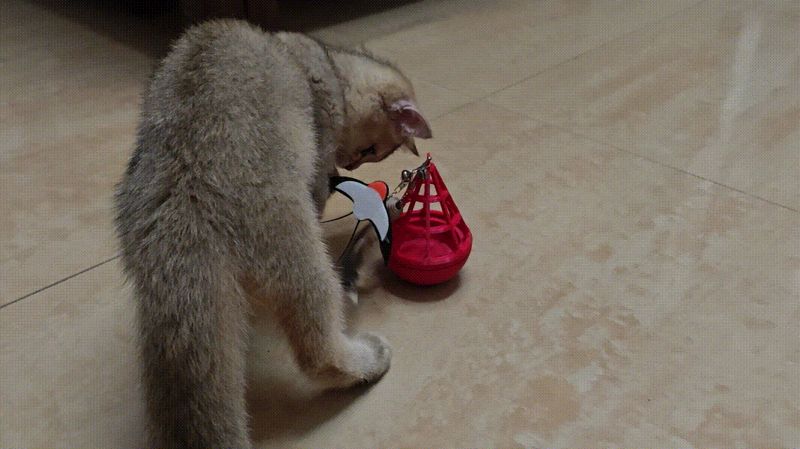 猫玩具-3#猫猫不倒翁(柠总认证)
