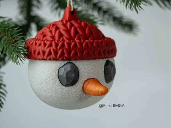 https://makerworld.bblmw.com/makerworld/model/USd9de1aa192cabb/design/2025-11-24_023f7687fc5528.jpg