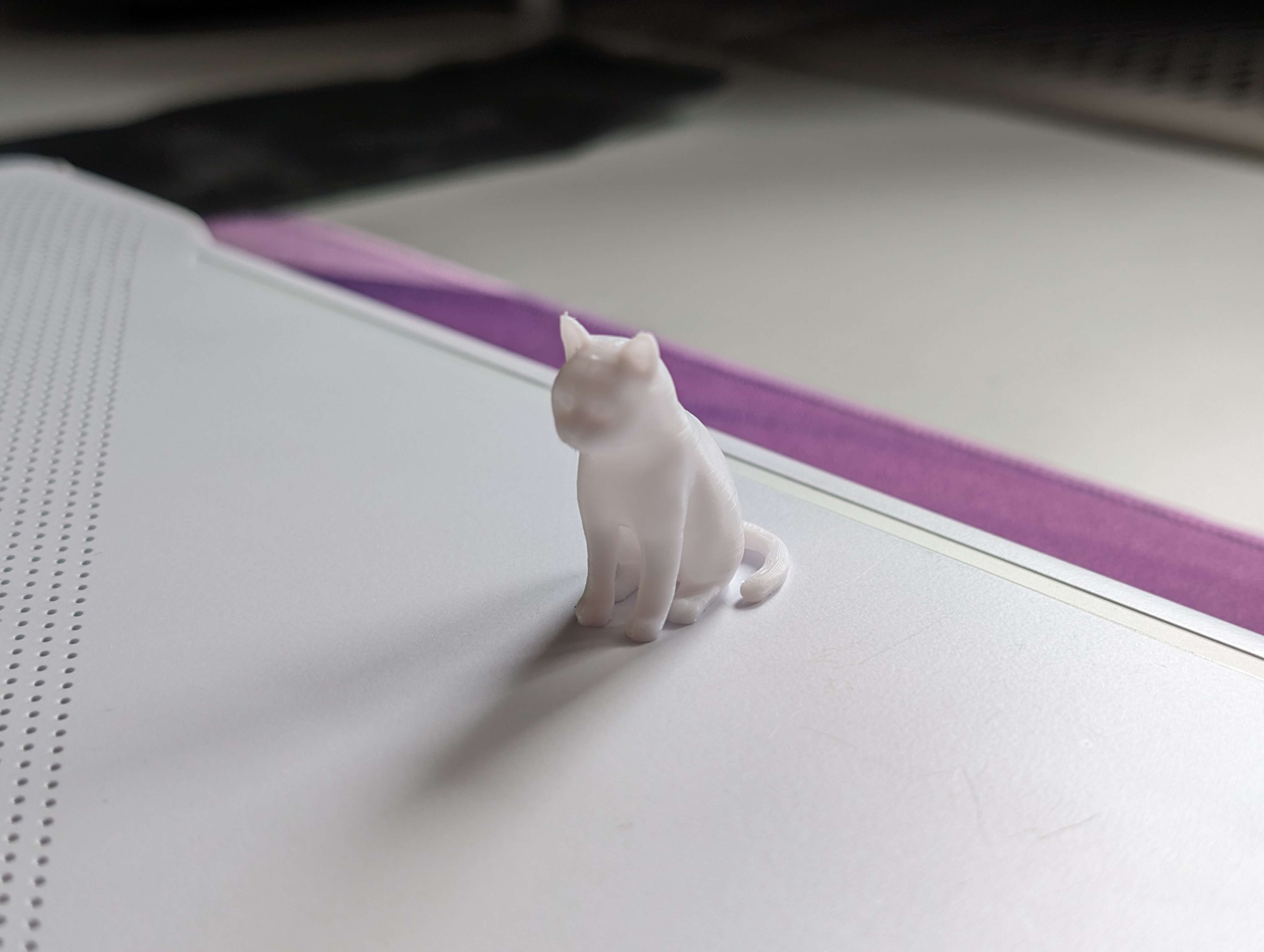 Miniatura 9 do modelo 3D Sitting Cat Upright