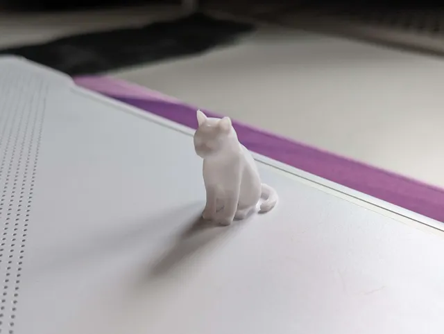 Sitting Cat Upright