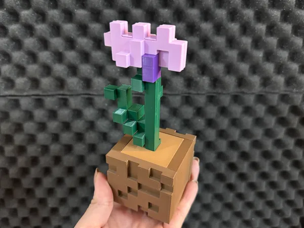 https://makerworld.bblmw.com/makerworld/model/USd9e058d68196d9/design/2025-03-18_7f5477c792ee5.jpeg