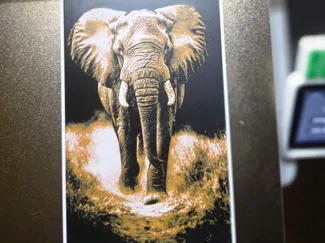 Elefante Guardián de África 