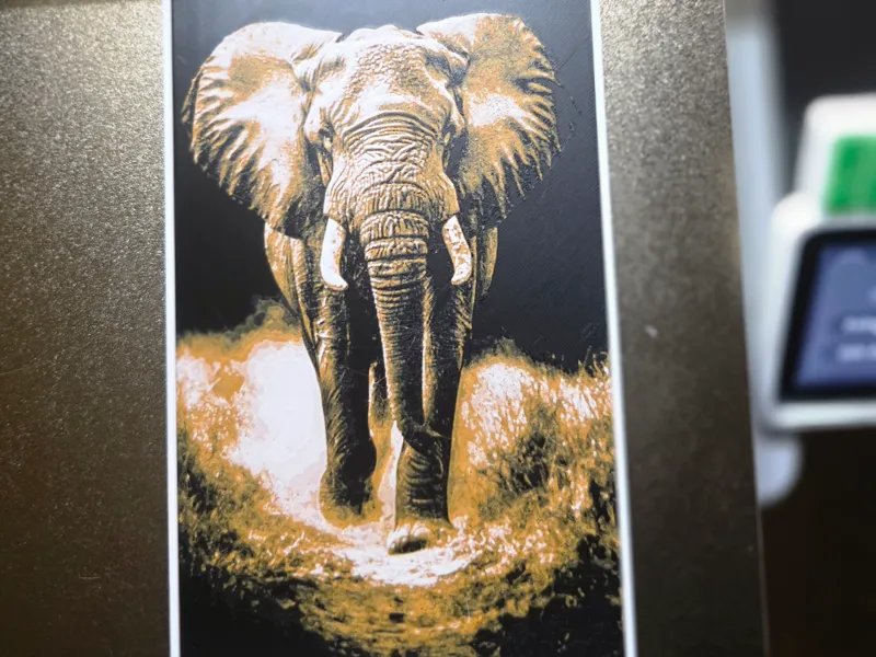 Elefante Guardián de África 